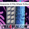 Anaconda Xl Pills Where To Buy 34